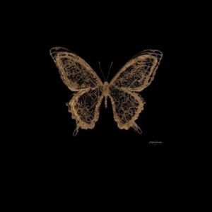 Meet your Posher, Cynda